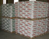 Plaster