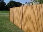 Super Feather Edge Fence Panel 6 x 2